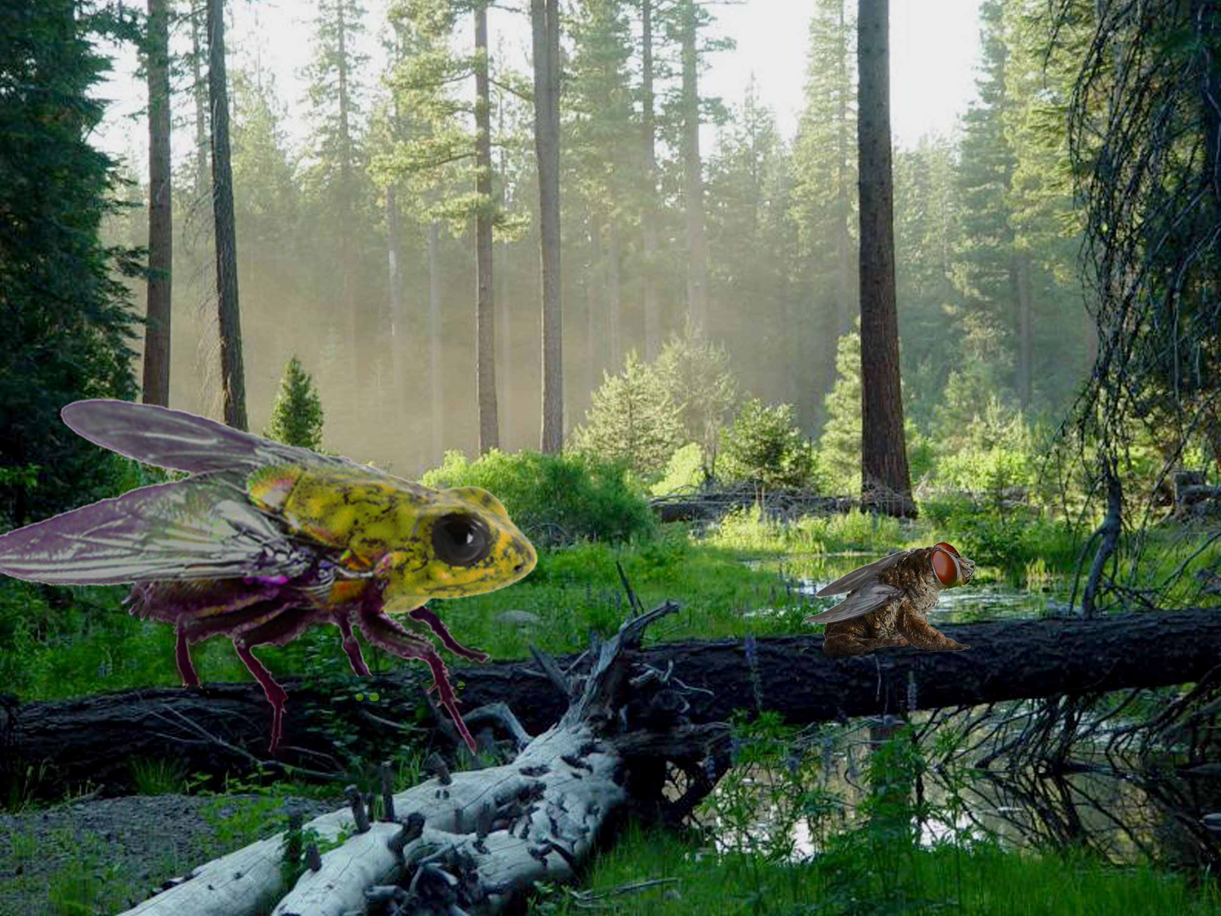 Photoshop-Design von pochiex2 für DesignCrowd (Community Contests) | Design #8941865