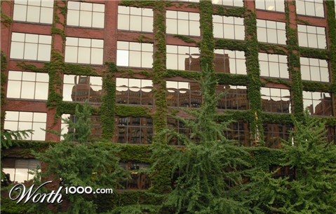 Photography by Snakeyesman