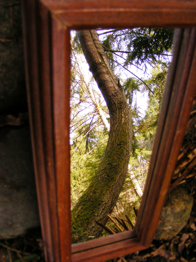 Photography by Feature for DesignCrowd (Community Contests) | Design #8937760