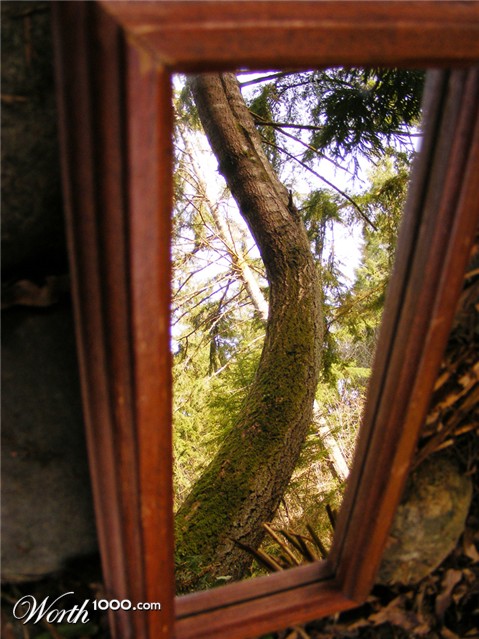 Photography by Feature