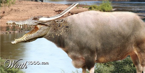 Photoshop Design by Danman9914