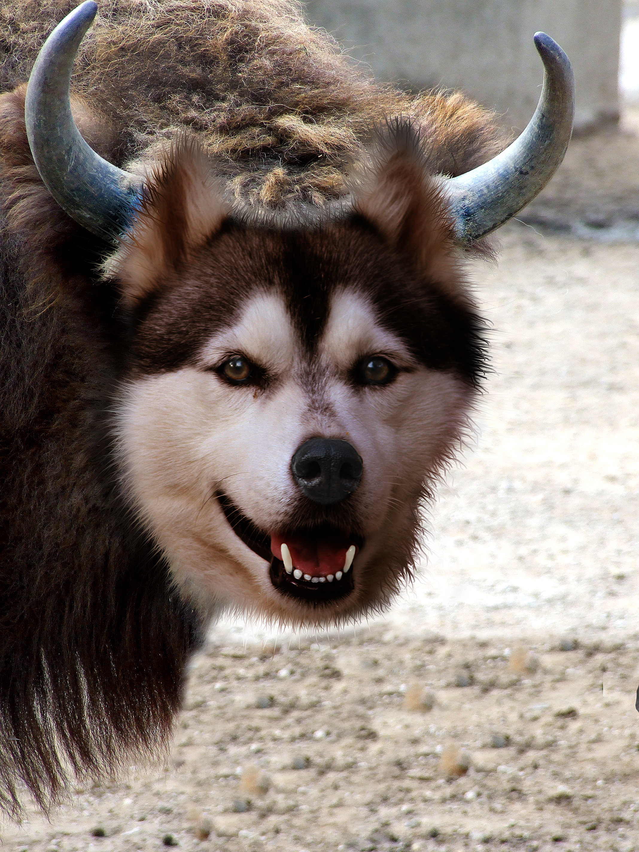 Photoshop Design by allstate for DesignCrowd (Community Contests) | Design #8941849