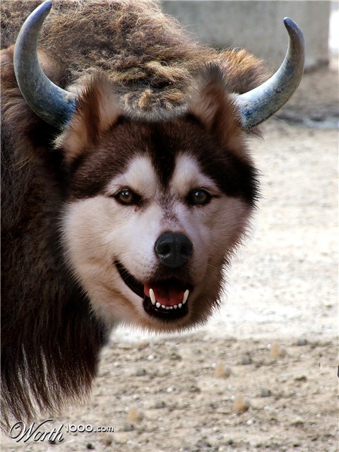 Photoshop Design by allstate