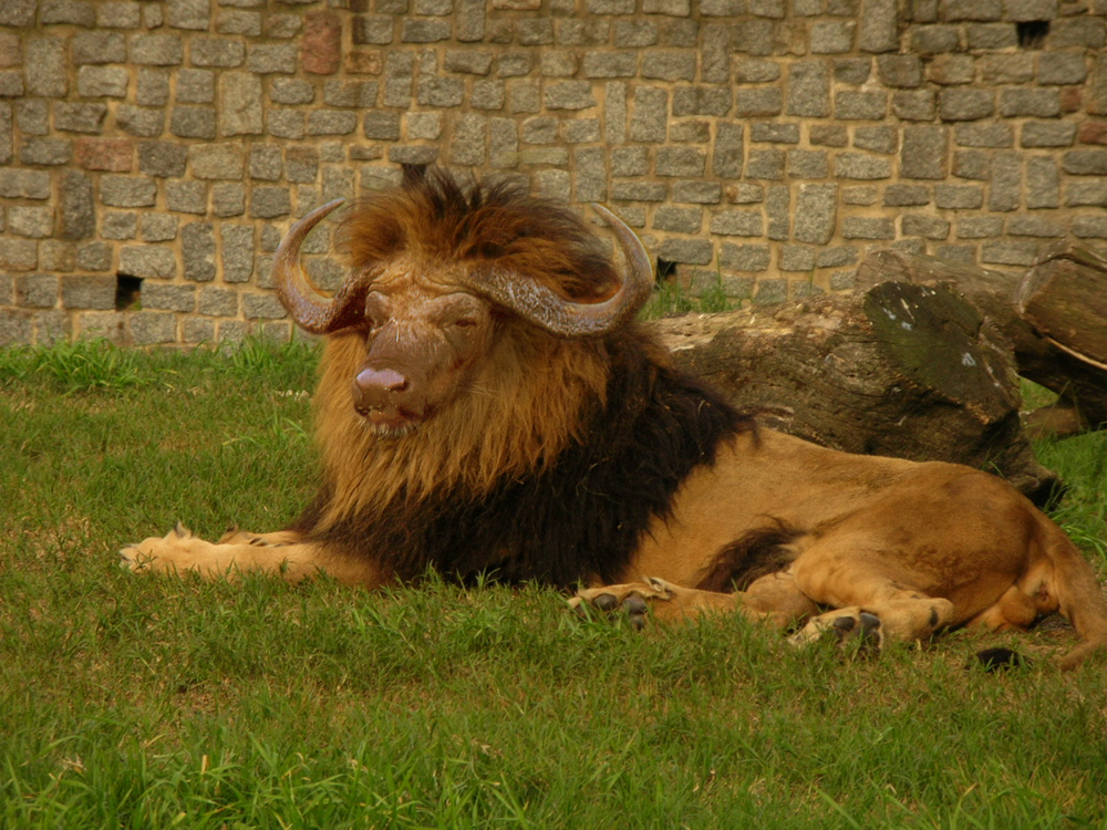 Photoshop Design by hazelann for DesignCrowd (Community Contests) | Design #8941924