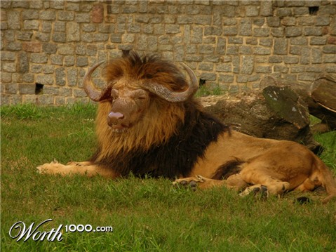 Photoshop Design by hazelann