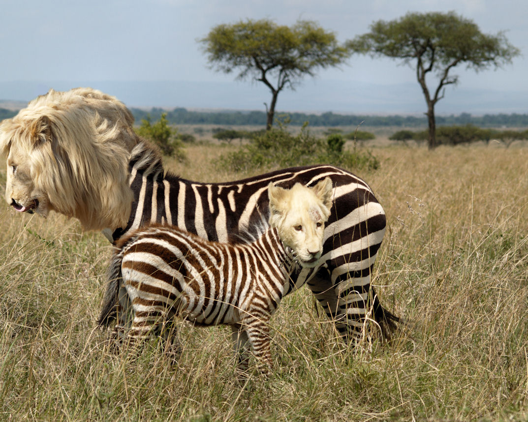 Design Photoshop par BobT55 pour DesignCrowd (Community Contests) | Design #8941886