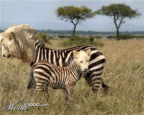 Photoshop Design by BobT55