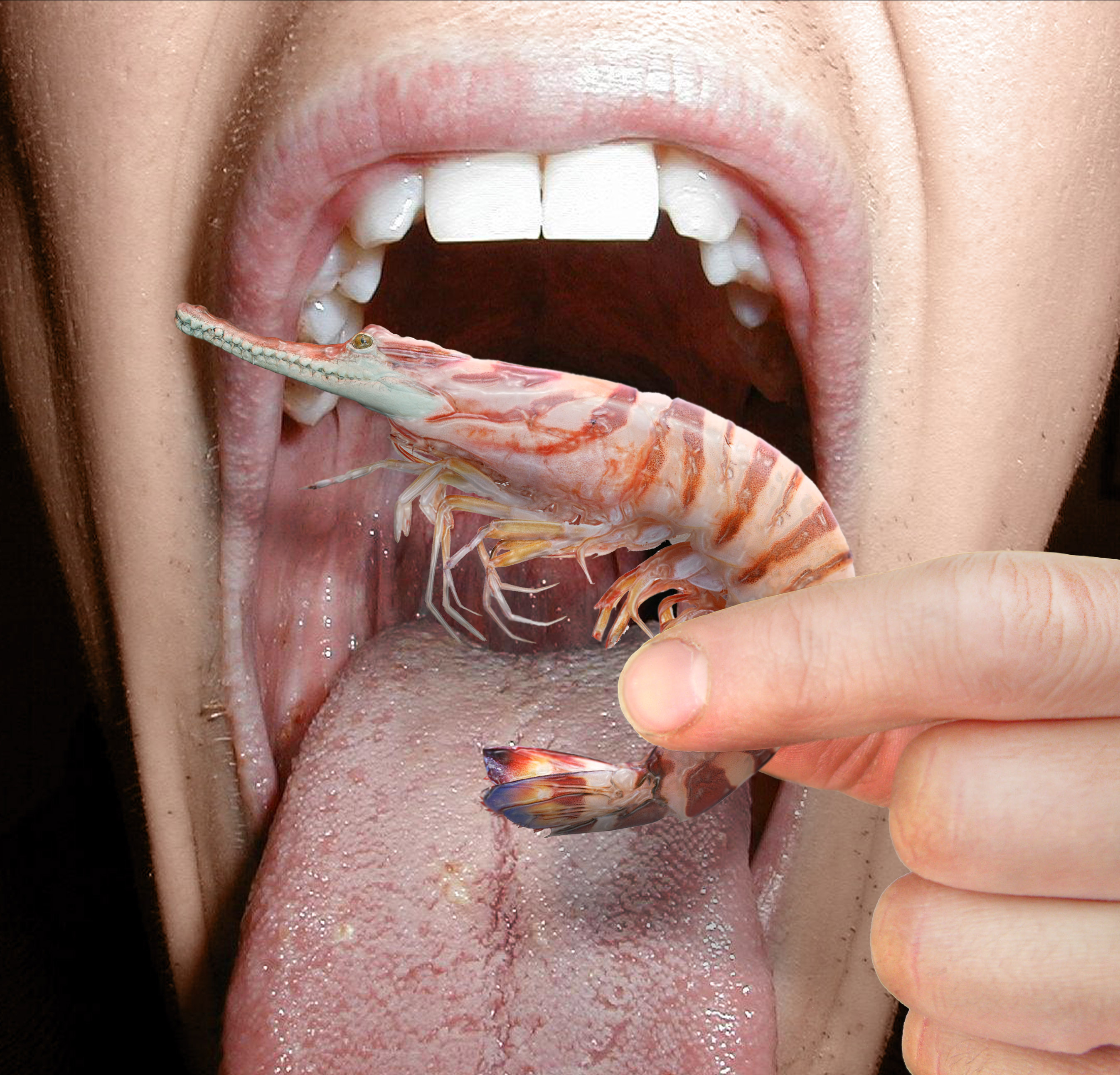 Photoshop Design by krical for DesignCrowd (Community Contests) | Design #8940985