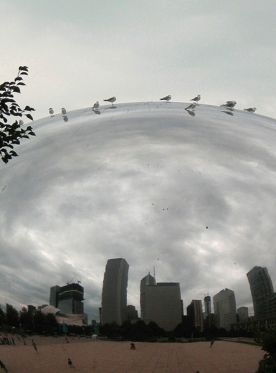 Photography by spincast1123 for DesignCrowd (Community Contests) | Design #8937751