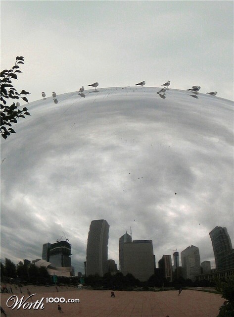 Photography by spincast1123