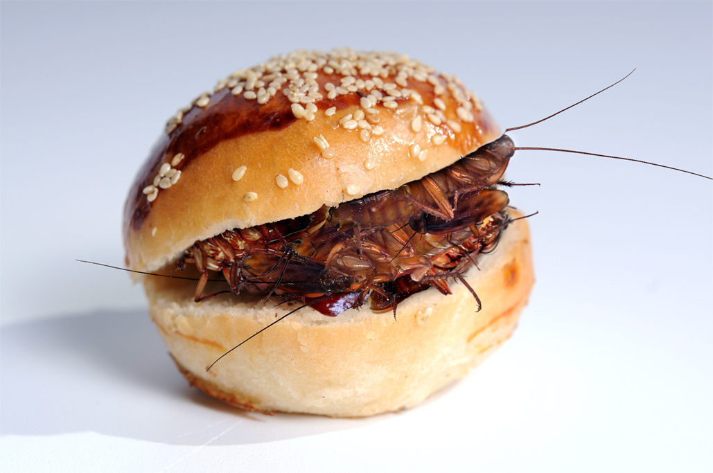 Diseño de Photoshop por jrsoares para DesignCrowd (Community Contests) | Diseño #8940979