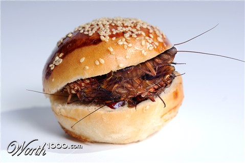 Photoshop Design by jrsoares