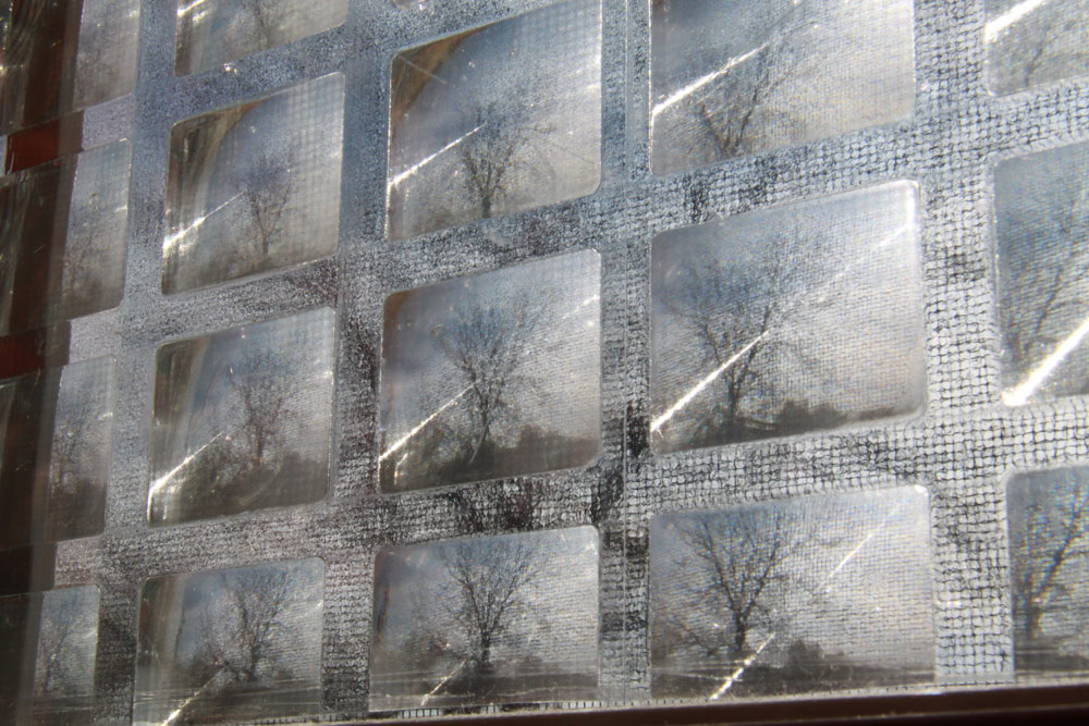 Fotografía por mindy3051 para DesignCrowd (Community Contests) | Diseño #8937775