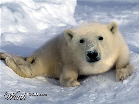 Photoshop Design by Sl3dgeHammer