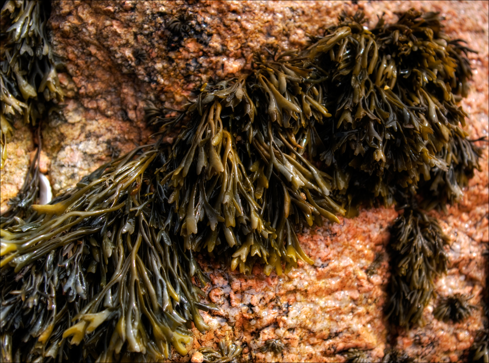 Photography by paulf1970 for DesignCrowd (Community Contests) | Design #8939113