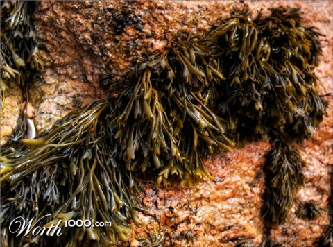 Photography by paulf1970