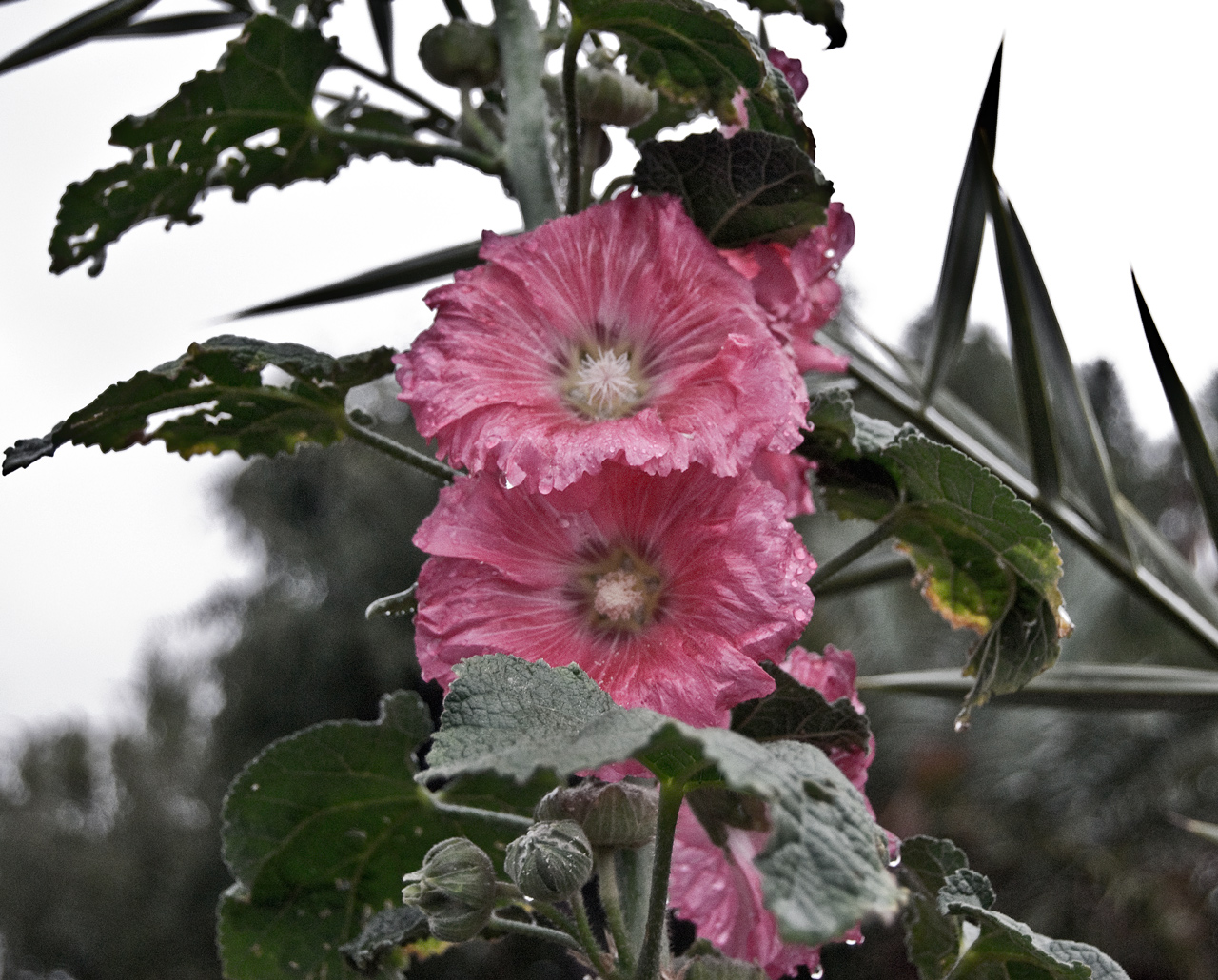 Photography by Smgkw123 for DesignCrowd (Community Contests) | Design #8939095