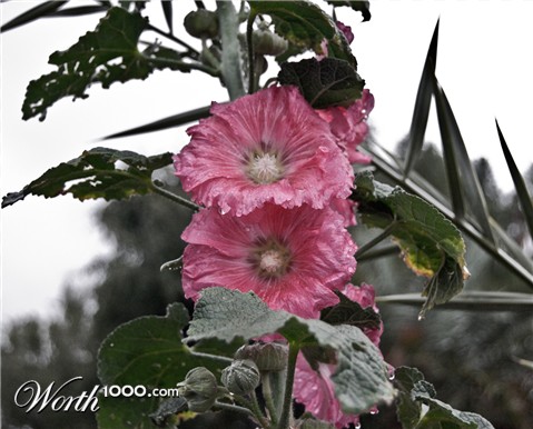 Photography by Smgkw123