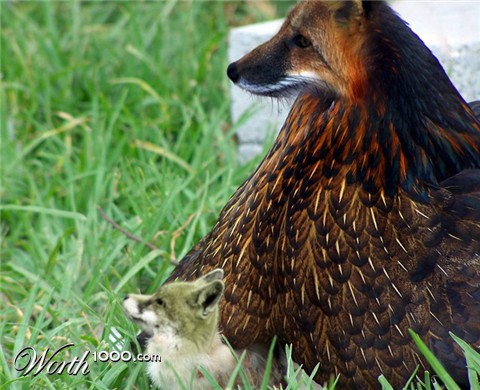 Photoshop Design by pantheo