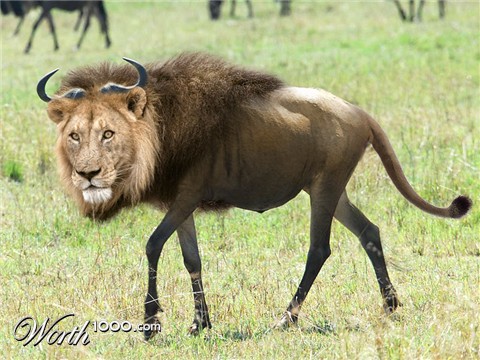 Photoshop Design by suckersklub