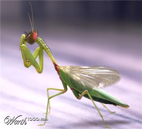 Photoshop Design by just-me-morgana