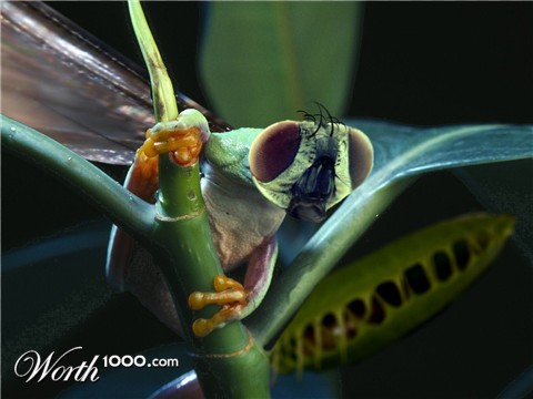 Photoshop Design by jasgood