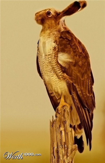 Photoshop Design by Trash63