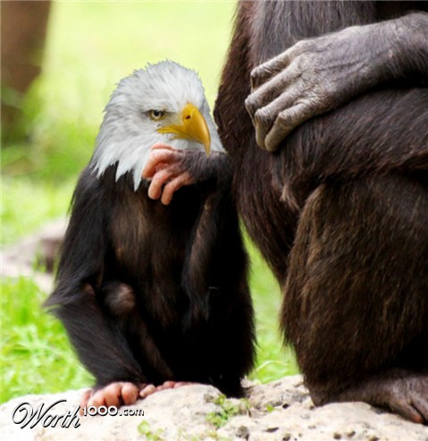 Photoshop Design by mikemuggles