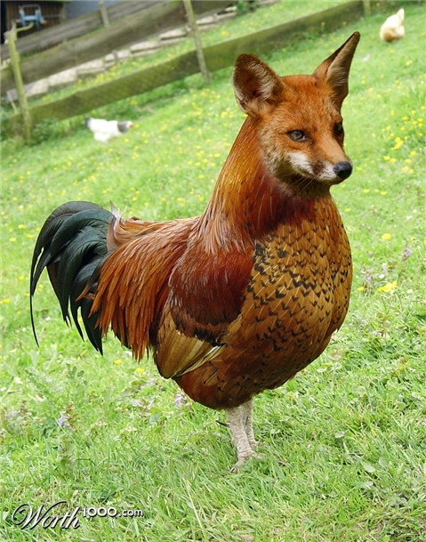 Photoshop Design by keysersoze666