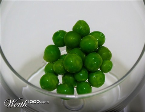 Photography by Audrey Kerchner