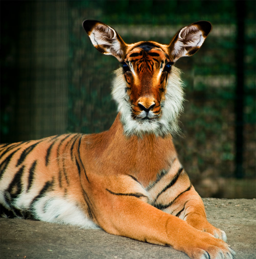 Design Photoshop par stormr pour DesignCrowd (Community Contests) | Design #8941997