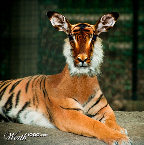 Photoshop Design by stormr