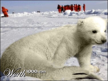 Photoshop Design by cigariscigar