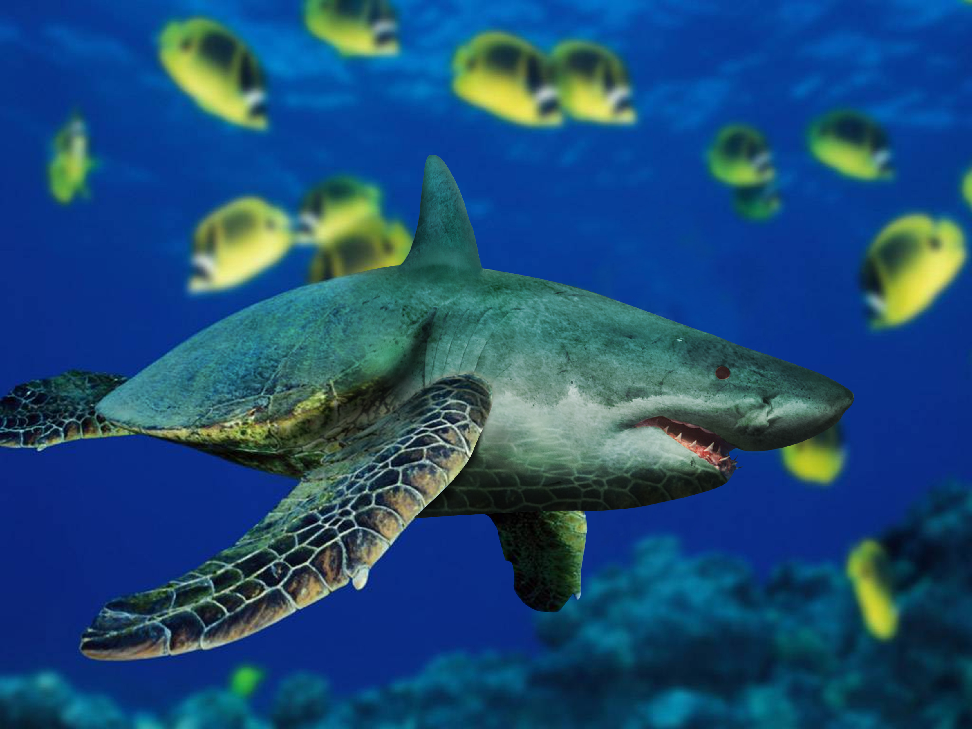 Photoshop Design by PixelTestMT for DesignCrowd (Community Contests) | Design #8941992