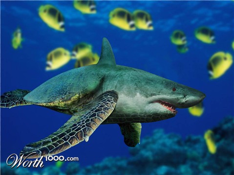 Photoshop Design by PixelTestMT