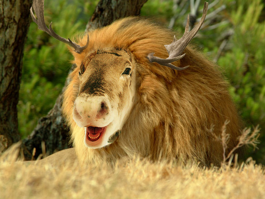 Photoshop Design by johnny0607 for DesignCrowd (Community Contests) | Design #8941954