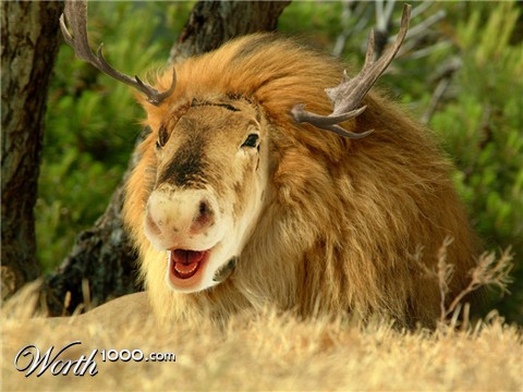 Photoshop Design by johnny0607