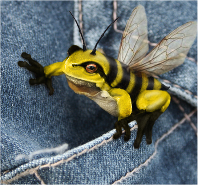 Design Photoshop par LunarRose pour DesignCrowd (Community Contests) | Design #8942005