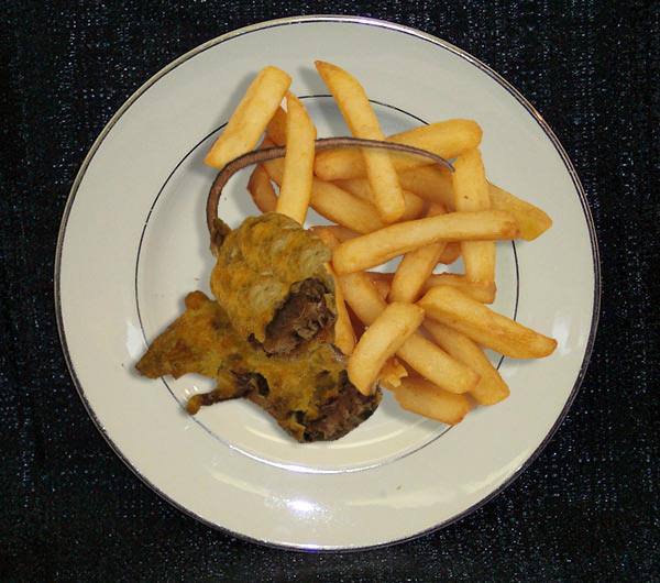 Design Photoshop par kate7819 pour DesignCrowd (Community Contests) | Design #8940995