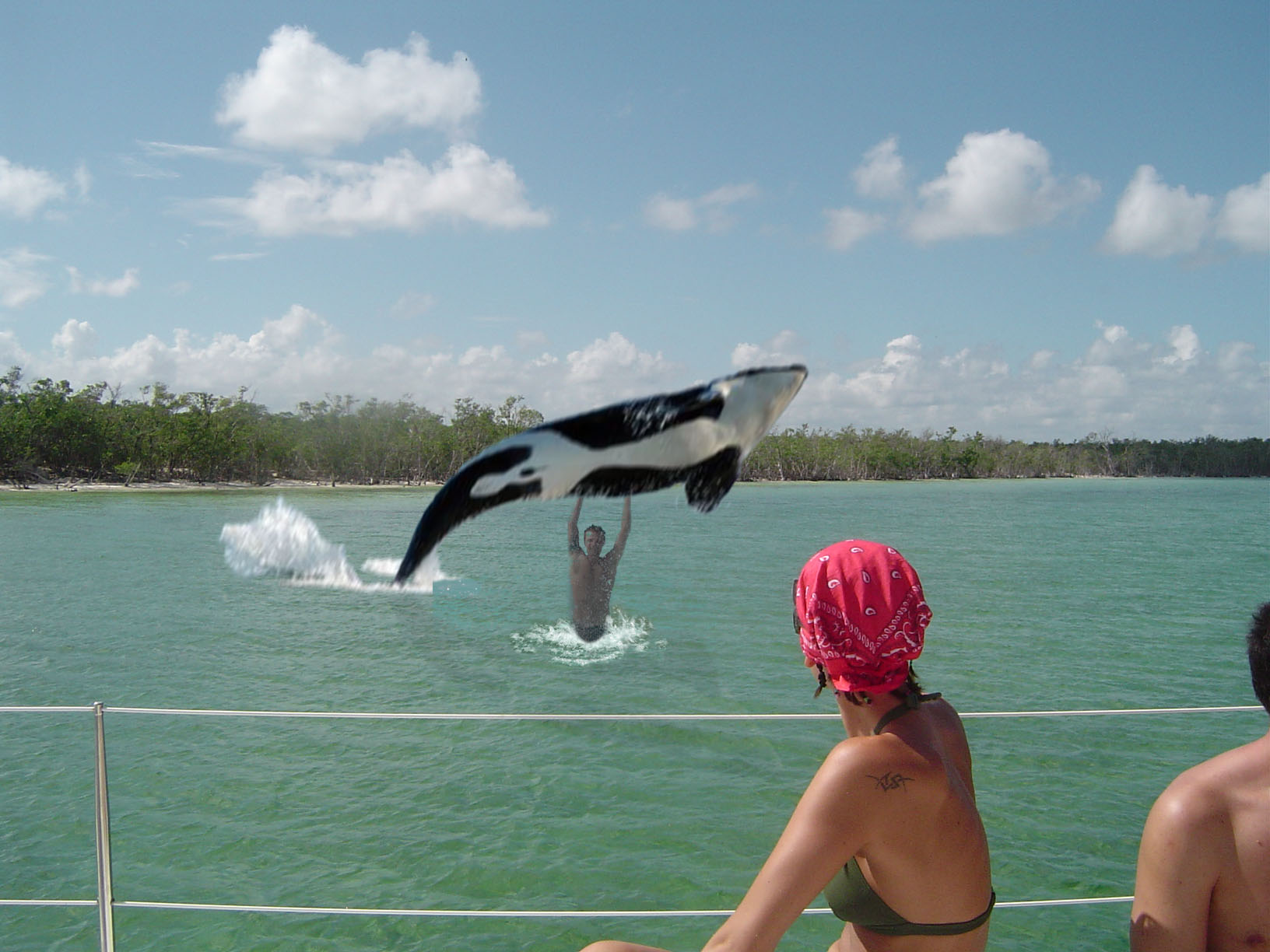 Photoshop Design by frank1956 for DesignCrowd (Community Contests) | Design #8939864