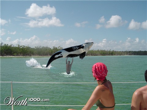 Photoshop Design by frank1956