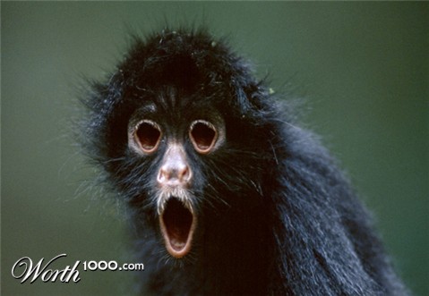 Photoshop Design by Mordey