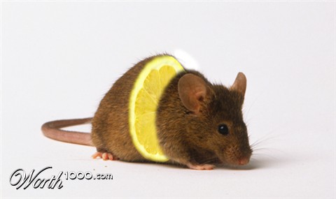 Photoshop Design by Mordey