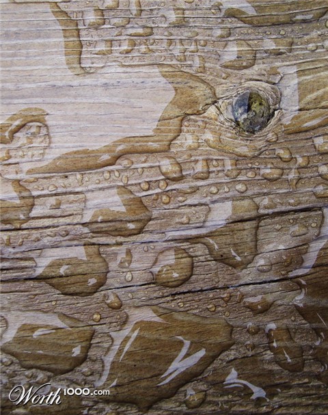 Photography by mangoslushy