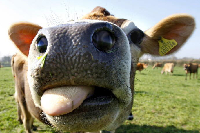 Photoshop Design by SteamPG for DesignCrowd (Community Contests) | Design #8943373