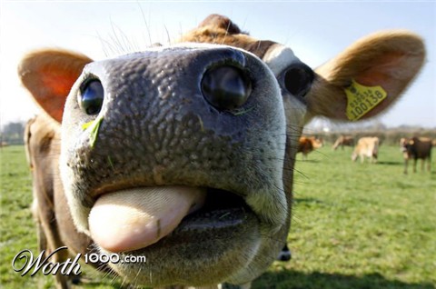 Photoshop Design by SteamPG