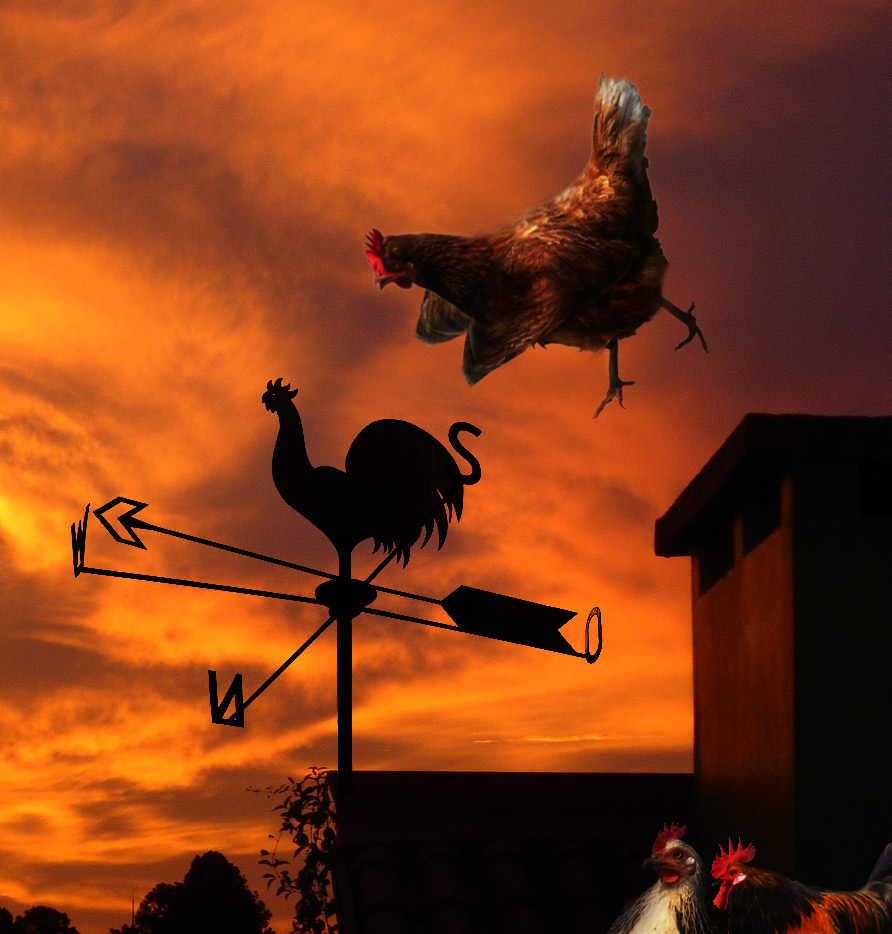 Photoshop Design by castiza for DesignCrowd (Community Contests) | Design #8939921