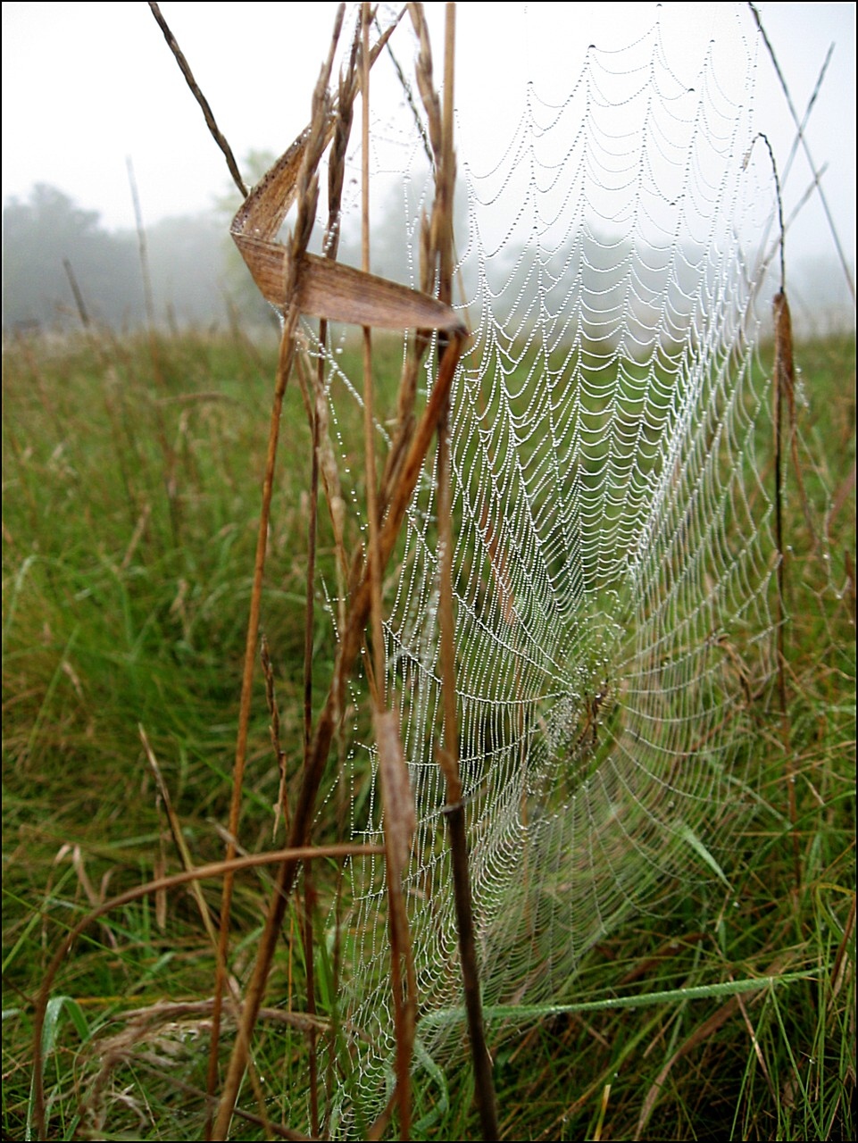 Photography by spincast1123 for DesignCrowd (Community Contests) | Design #8939142