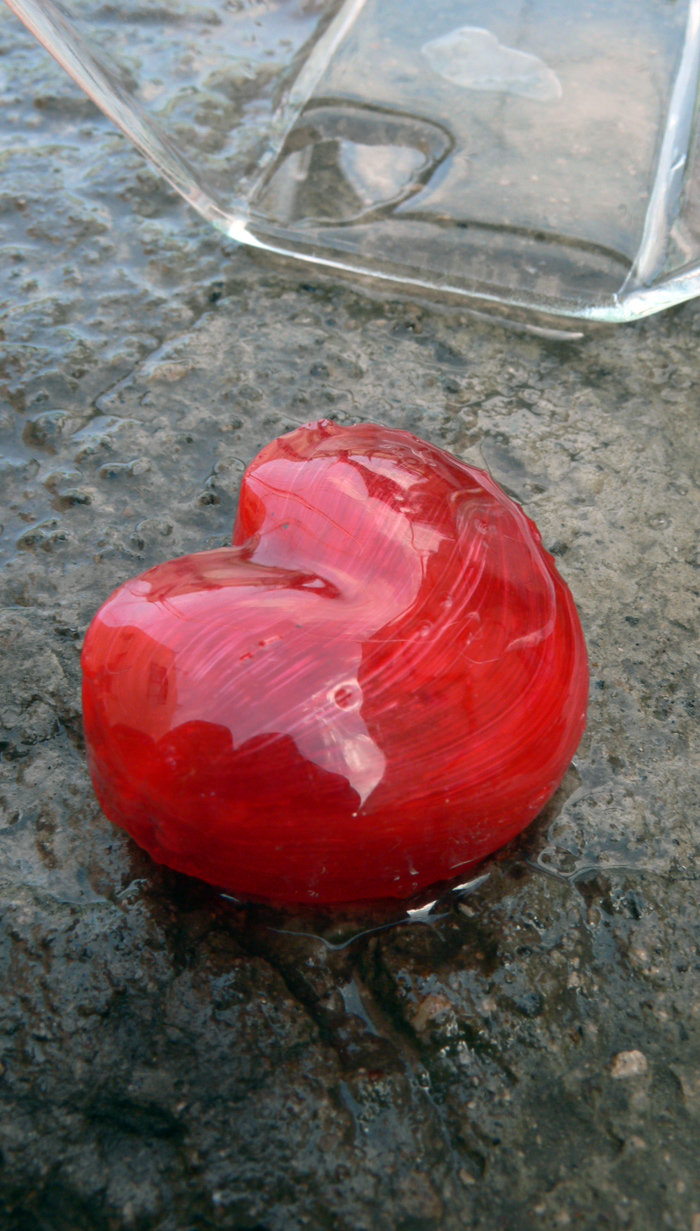 Photography by sausirhi for DesignCrowd (Community Contests) | Design #8939200