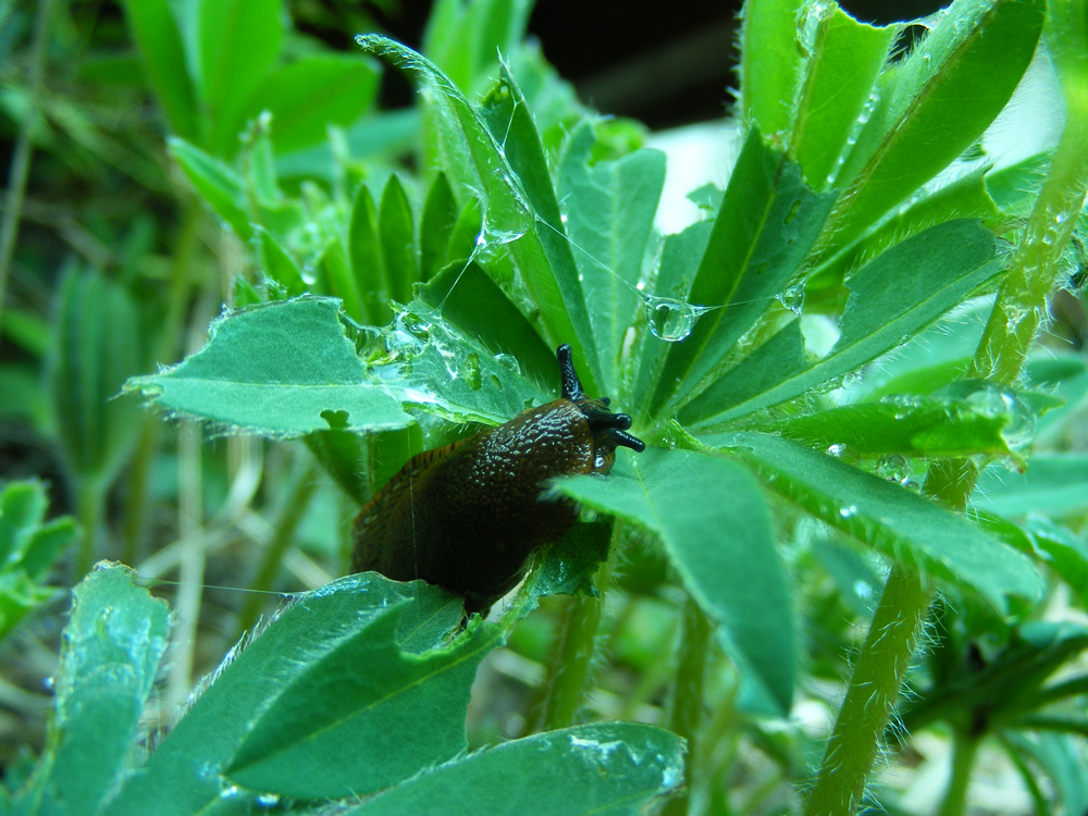 Photography by Feature for DesignCrowd (Community Contests) | Design #8939188